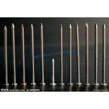 Cheapest Stainless Steel Nails Iron Nail Made in China Factory